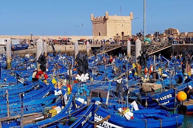 Weed in Essaouira