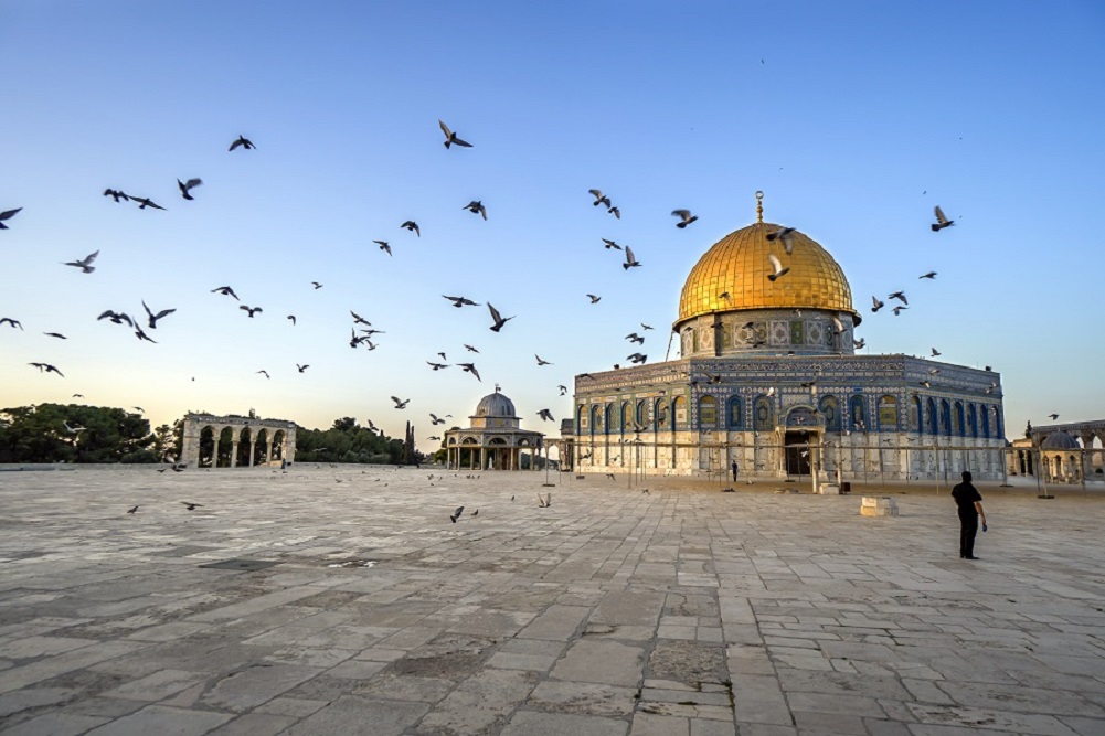 Weed in Jerusalem