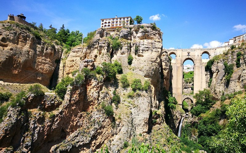 Weed in Ronda