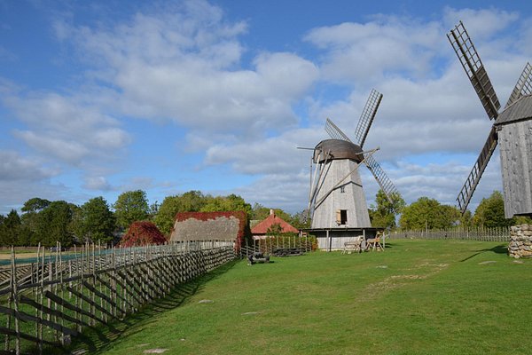 Weed in Saaremaa