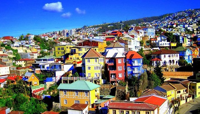 Weed in Viña del Mar